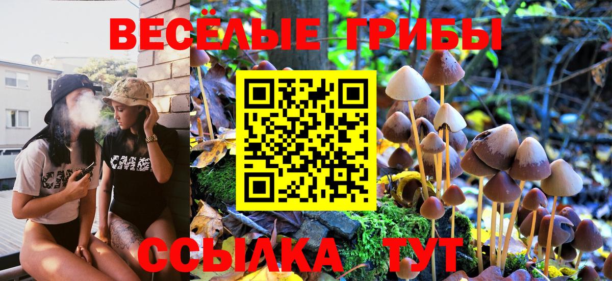 Галлюциногенные грибы Psilocybine cubensis  Вход с VPN  Ставрополь 